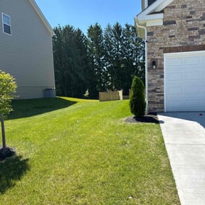 landscaping services by J &amp; F Landscaping LLC reviewed on November 19, 2025