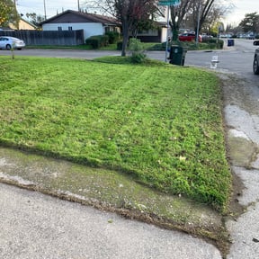 Leaf Removal by 12&#039;s Company Family lawn Services reviewed on September 6, 2025