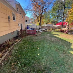 Leaf Removal by Perez cuts reviewed on October 19, 2025