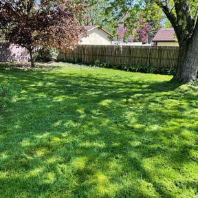 gardening service by KuzLandscaping&PowerwashingLLC reviewed on August 18, 2025