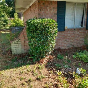 Bush Trimming by Garden Lawn Care reviewed on August 17, 2025