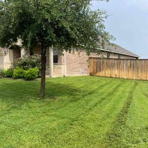 yard service by MTD Lawncare & Maintenance reviewed on August 21, 2025