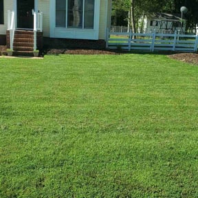 yard maintenance by Halls Lawn And Tree reviewed on May 4, 2025