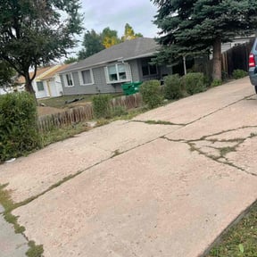 Bush Trimming by Frederickson Lawn Management reviewed on August 19, 2025