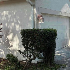 Bush Trimming by J&O landscaping reviewed on August 21, 2025