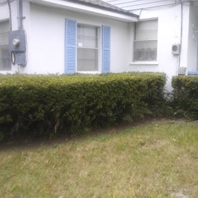 Bush Trimming by Martin LLC reviewed on July 25, 2025