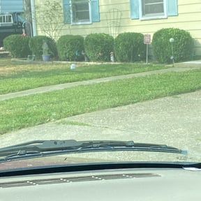 Bush Trimming by Aguilar Landscaping & Tree Services LLC reviewed on August 17, 2025