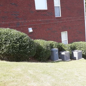 Bush Trimming by Scott Lawncare reviewed on August 18, 2025
