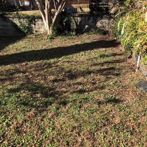 Leaf Removal by Parker Landscape &amp; Maintenance reviewed on November 27, 2025