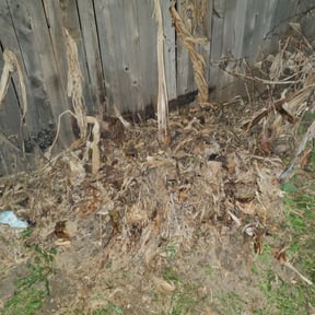 Bush Trimming by SF Quality Business LLC reviewed on August 15, 2025