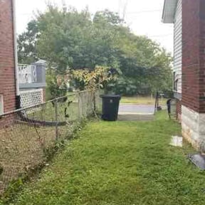 Bush Trimming by K C  lawn care reviewed on August 19, 2025