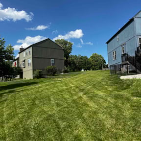 landscaping by T and T Strong reviewed on November 22, 2025