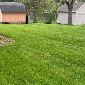 landscaping by Affordable Lawn Care reviewed on August 21, 2025