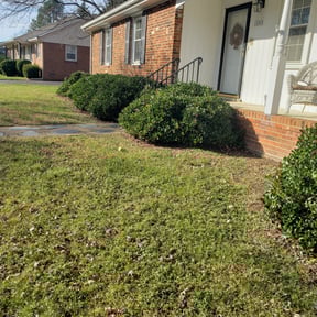 Bush Trimming by Eagles Lawn Care and More reviewed on August 20, 2025