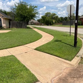 landscape maintenance by Salone Lawn & Tree Service LLC. reviewed on August 16, 2025