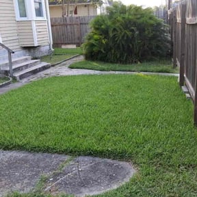 Bush Trimming by Dustins lawn care reviewed on August 5, 2026
