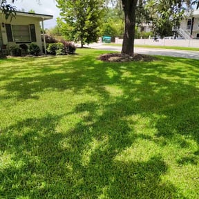 landscaping services by Avery & sons reviewed on August 18, 2025