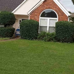 Bush Trimming by Procare Lawns reviewed on January 21, 2026