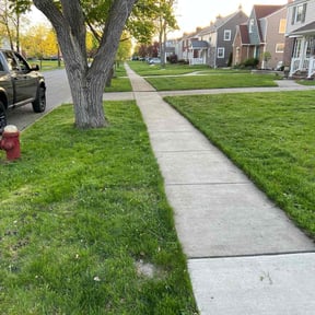 turf care by B&amp;C Lawn and Landscaping LLC reviewed on August 16, 2025