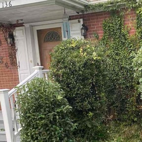 Bush Trimming by A and L lawn Care Professionals reviewed on August 15, 2025