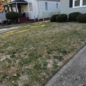 Leaf Removal by Ja-La Handyman &amp; Mower reviewed on April 8, 2026