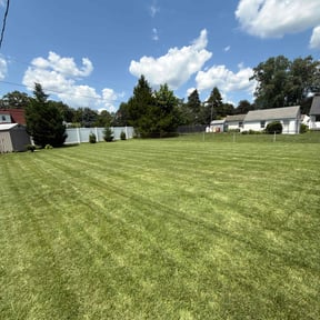 yard service by Bell lawn grooming reviewed on August 18, 2025