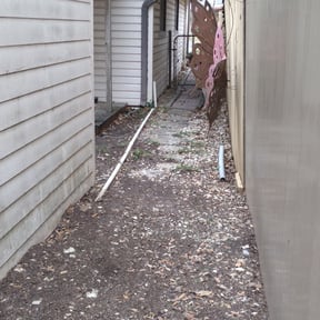 Leaf Removal by Carolina green landscaping &amp; more reviewed on September 24, 2025