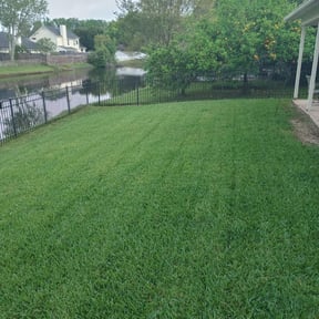 yard service by Rody & Mel's Landscaping reviewed on August 17, 2025