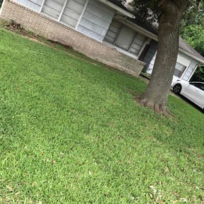 lawn maintenance by Toms Lawn Care reviewed on September 30, 2023