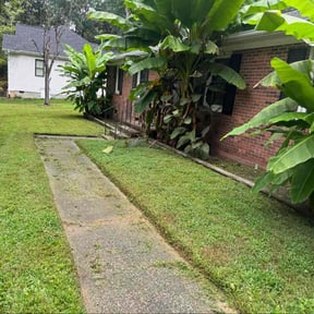 Bush Trimming by Armstrong&#039;s Lawn Care Plus reviewed on November 20, 2025