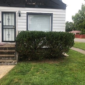 Bush Trimming by Castruita Lawn Service reviewed on August 20, 2025