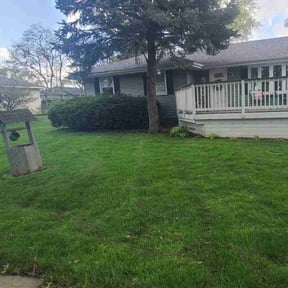 lawn maintenance by Forest Green Lawn & Landscaping, LLC reviewed on April 26, 2024