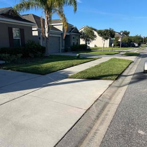 residential landscaping by Patton Lawn Care reviewed on August 15, 2025