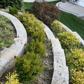 Flower Bed Weeding by Raptor Lawn Care LLC reviewed on August 17, 2025
