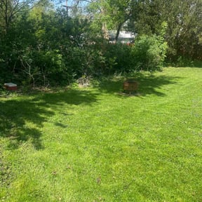 grass maintenance by S & G Landscaping, Inc. reviewed on May 10, 2024