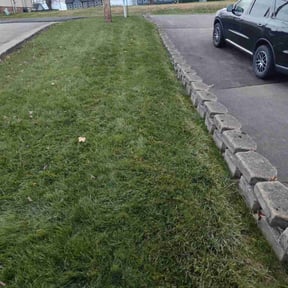 Leaf Removal by Allentown Lawn and Landscape reviewed on November 30, 2025