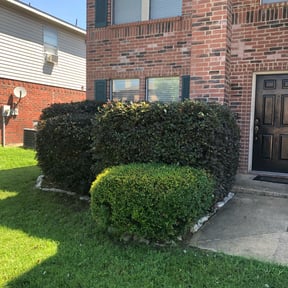 Bush Trimming by BRDOC - Lawn Care reviewed on August 16, 2025