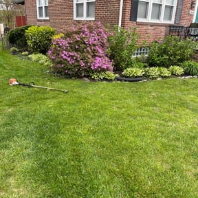 residential landscaping by Mottlawns reviewed on August 18, 2025