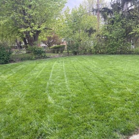 residential landscaping by Bob's reviewed on August 18, 2025