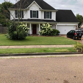 yard care by Green River Landscape, LLC reviewed on August 21, 2025