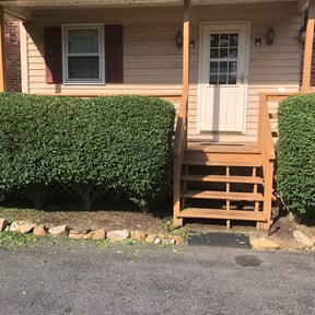 Bush Trimming by wewemowlawns reviewed on August 17, 2025