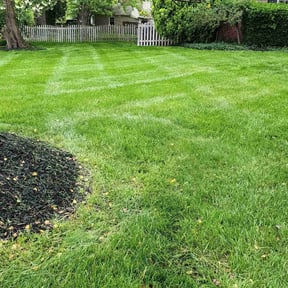 gardening service by Alex &amp; Son&#039;s Landscaping Services reviewed on November 26, 2025