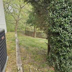 Bush Trimming by 66landscaping.com reviewed on August 21, 2025