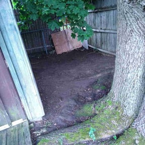 Leaf Removal by iFixPhx Handyman and Property Care reviewed on August 18, 2025