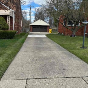 yard maintenance by Suffer Correct Seasonal Care reviewed on August 17, 2025