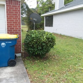 Bush Trimming by RTH Lawn Service &amp; Landscaping LLC reviewed on June 7, 2022