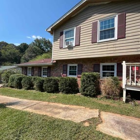 Bush Trimming by One Man Gang reviewed on November 21, 2025