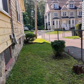 Bush Trimming by N.A.l Landscaping Services reviewed on August 17, 2025