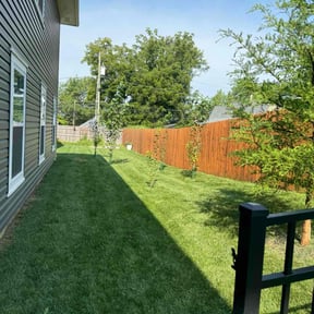 yard service by Rays lawn care reviewed on August 17, 2025
