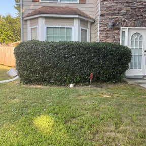 Bush Trimming by J&amp;L lawn&amp; landscape reviewed on October 24, 2025